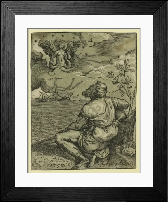 Framed Print : M. Pietro Aretino Framed Print : M. Pietro Aretino