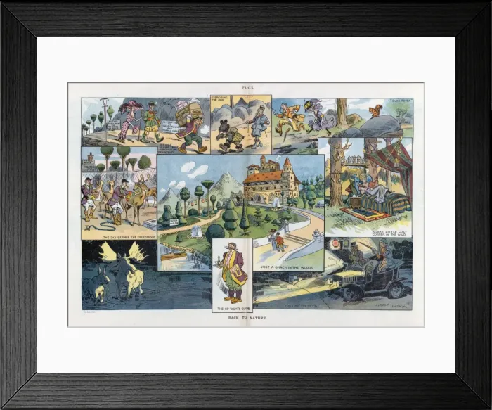 Framed Print : Back to nature Framed Print : Back to nature