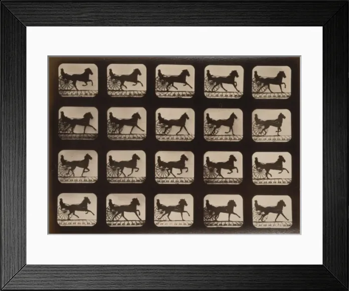 Framed Print : Horses. Irregular