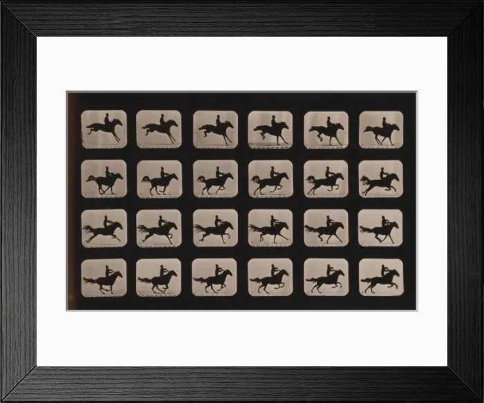 Framed Print : Horses. After leaping a 3 ft. 6 hurdle Framed Print : Horses. After leaping a 3 ft. 6 hurdle