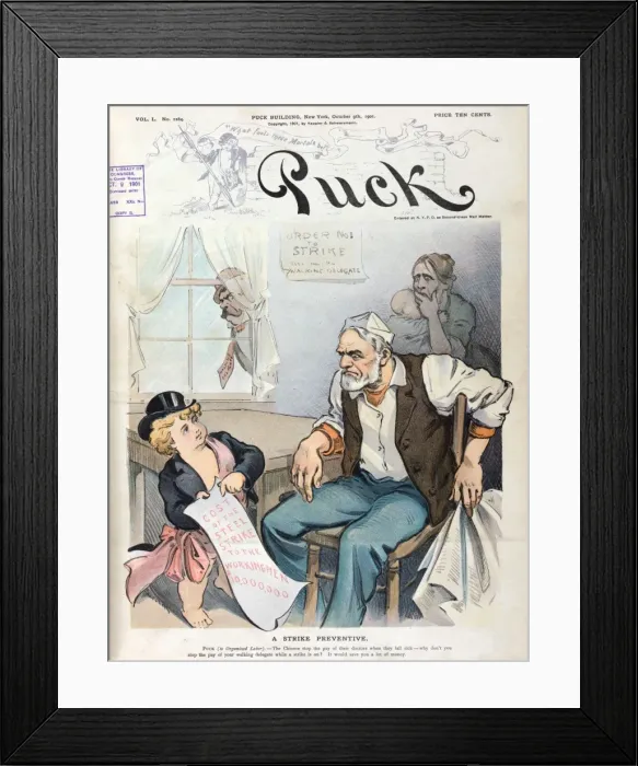 Framed Print : A strike preventive Framed Print : A strike preventive