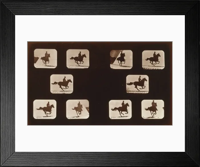 Framed Print : Horses. Running Framed Print : Horses. Running