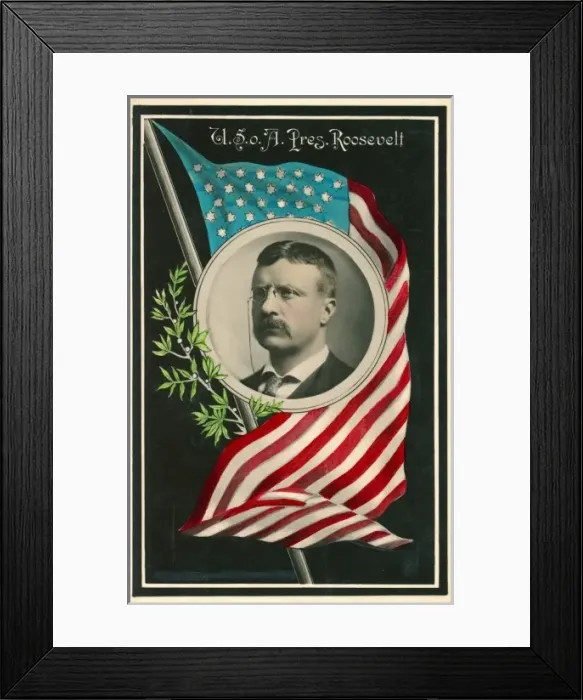 Framed Print : U. S. of A. Pres. Roosevelt Framed Print : U. S. of A. Pres. Roosevelt