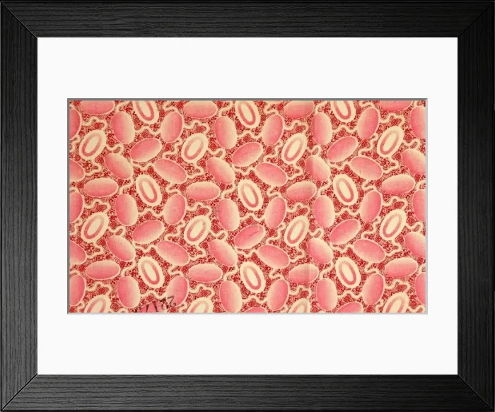 Framed Print : Patterned material Framed Print : Patterned material