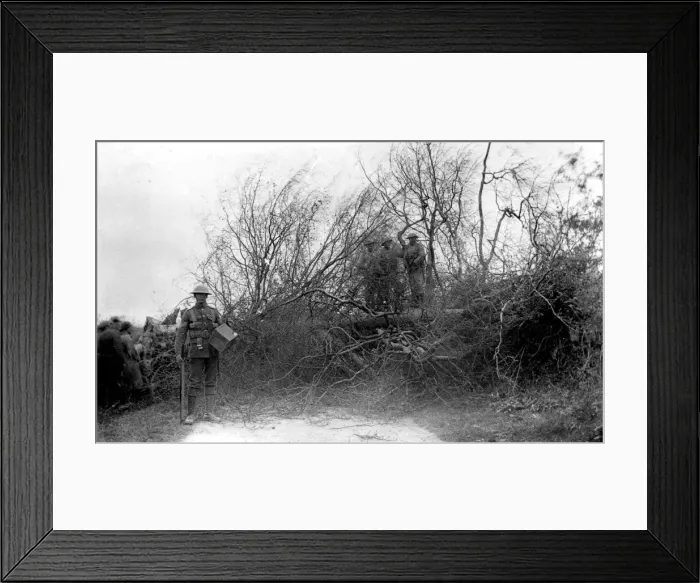 Framed Print : Picture No. 10473854 Framed Print : Picture No. 10473854