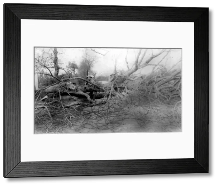 Framed Print : Picture No. 10473859 Framed Print : Picture No. 10473859