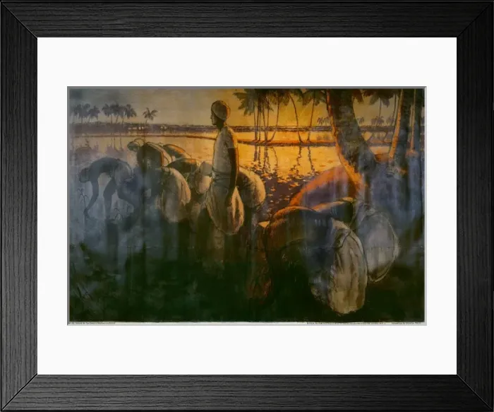 Framed Print : Rice Field poster Framed Print : Rice Field poster