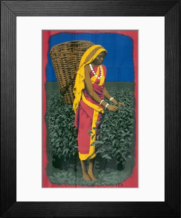 Framed Print : Tea Industry poster Framed Print : Tea Industry poster