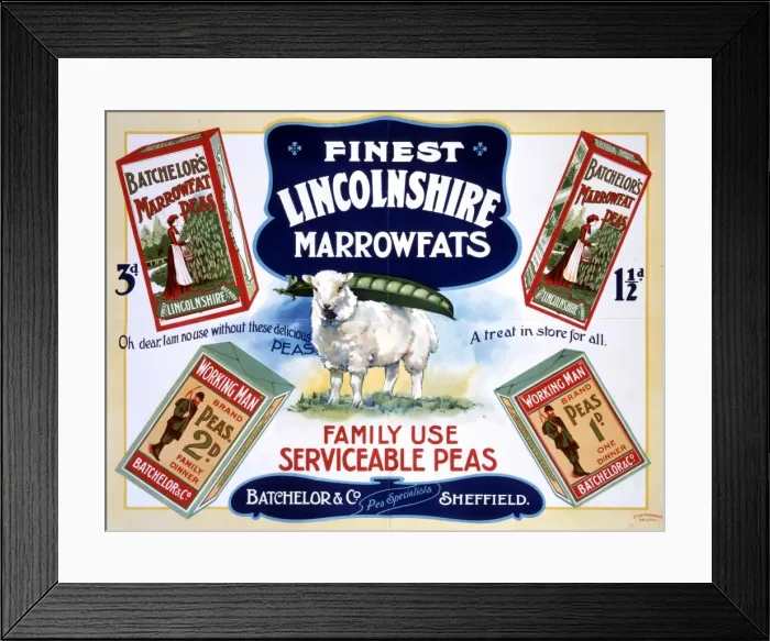 Framed Print : Batchelor & Co advert Framed Print : Batchelor & Co advert