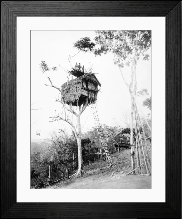 Framed Print : New Guinea Framed Print : New Guinea