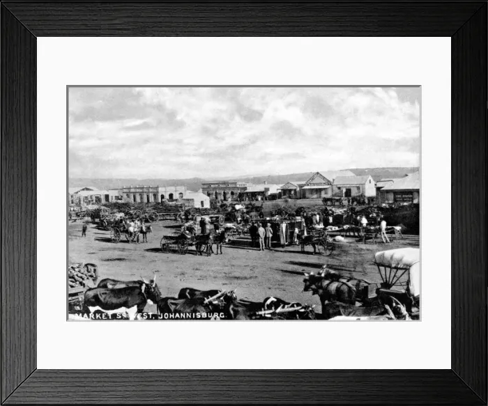 Framed Print : Johannesburg Framed Print : Johannesburg