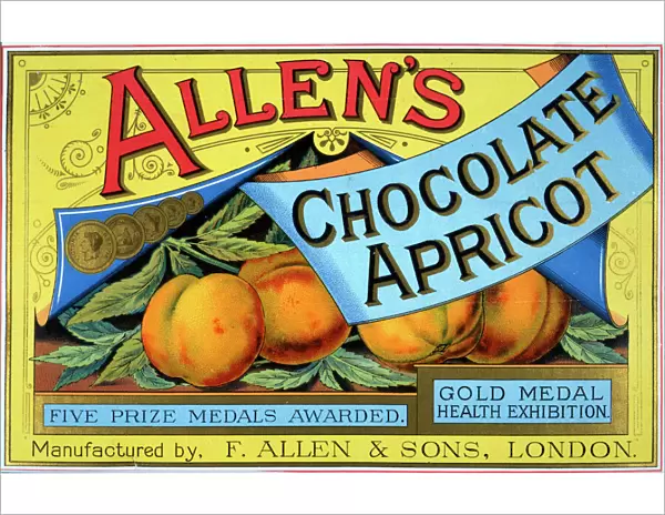 Chocolate Apricot poster