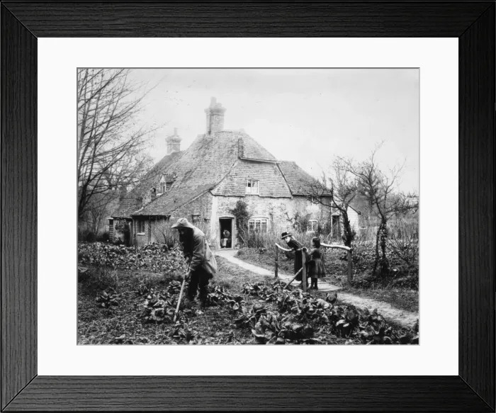 Framed Print : Gardening 1895 Framed Print : Gardening 1895