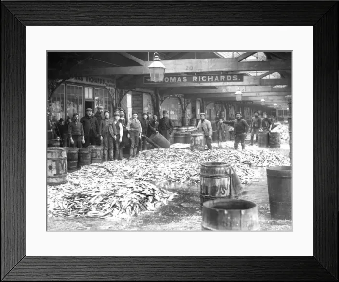 Framed Print : Herring market in Lowestoft, 1898 Framed Print : Herring market in Lowestoft, 1898