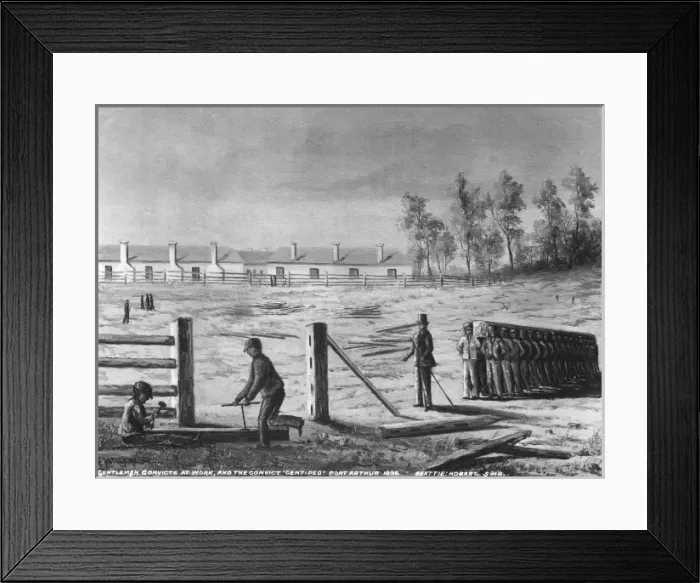 Framed Print : Convicts at work Framed Print : Convicts at work