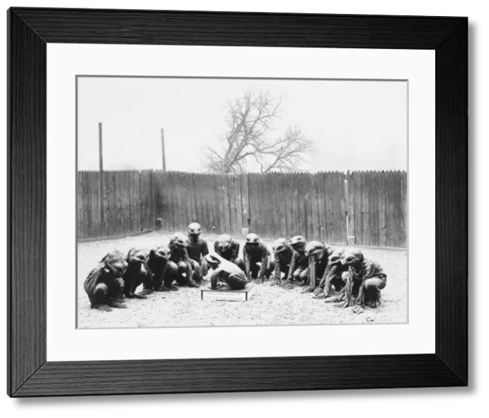 Framed Print : Frog in your throat Framed Print : Frog in your throat