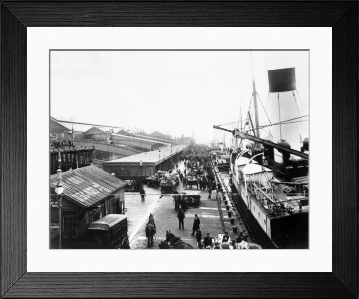 Framed Print : The Oceanic Framed Print : The Oceanic