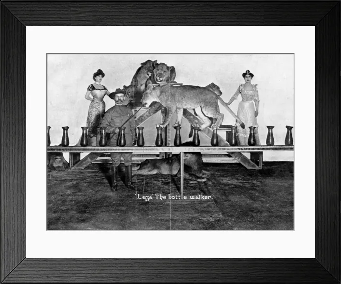 Framed Print : Bottle walking lion Framed Print : Bottle walking lion