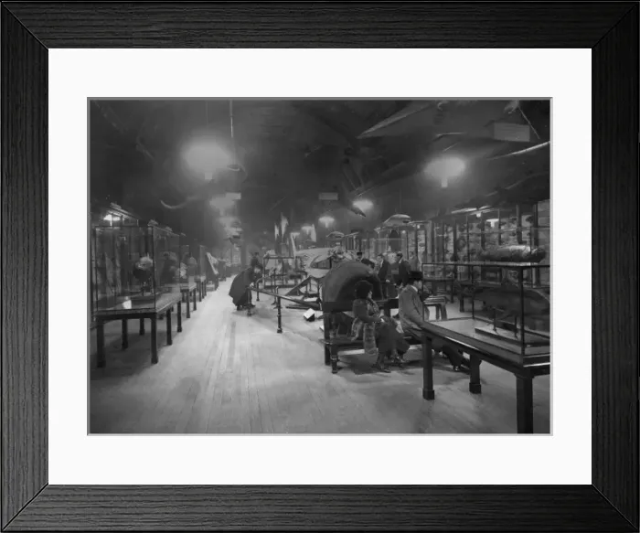 Framed Print : Natural History Museum Framed Print : Natural History Museum