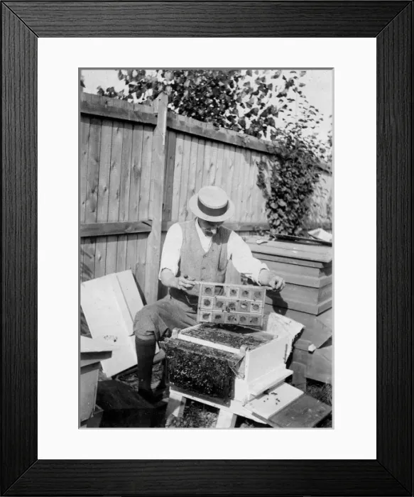 Framed Print : Edward Baruch Blaker Framed Print : Edward Baruch Blaker