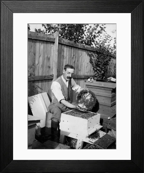 Framed Print : Edward Baruch Blaker Framed Print : Edward Baruch Blaker