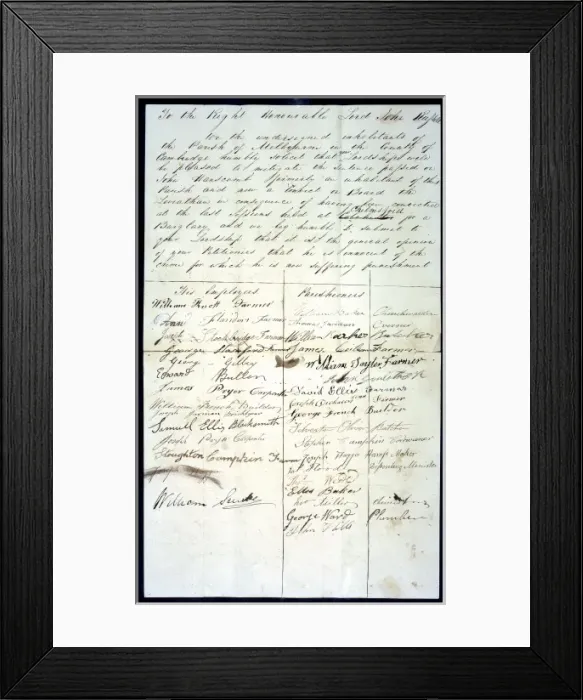 Framed Print : Home Office Petition Framed Print : Home Office Petition