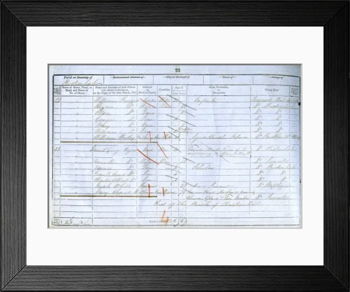Framed Print : 1851 Census Framed Print : 1851 Census