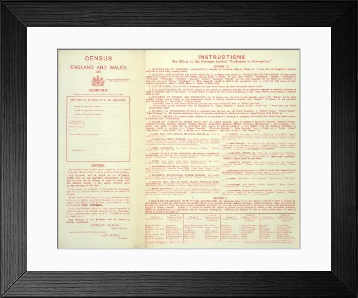 Framed Print : Census 1911 Framed Print : Census 1911