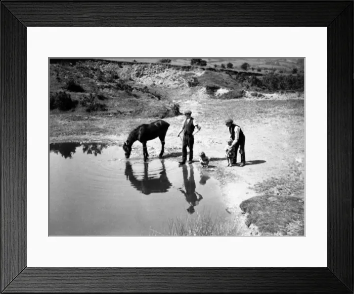 Framed Print : Gypsies, Devon, c.1930s Date: c. 1930s Framed Print : Gypsies, Devon, c.1930s Date: c. 1930s