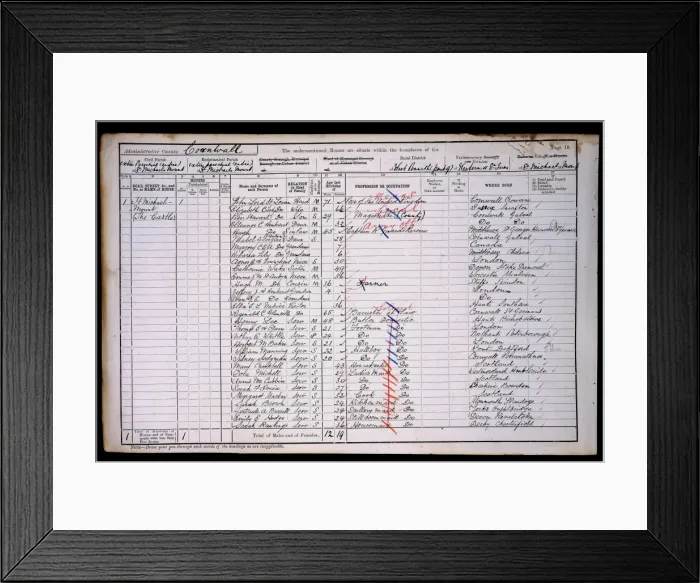 Framed Print : Census 1901 Framed Print : Census 1901
