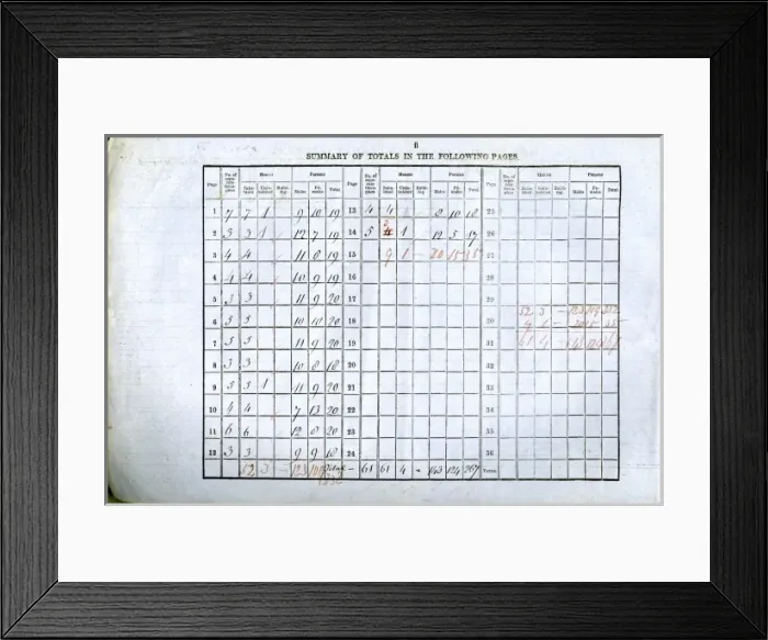 Framed Print : 1851 Census Framed Print : 1851 Census