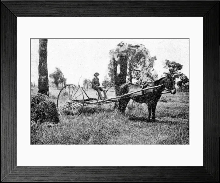 Framed Print : Emigration to Australia Framed Print : Emigration to Australia