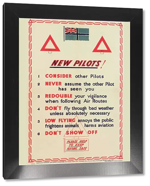 National Air Safety Committee Poster