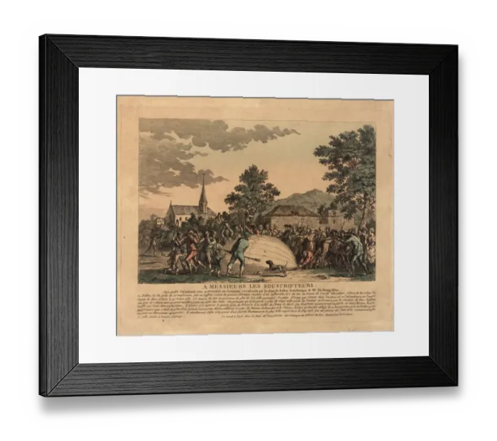 Framed Print : Balloon descent at Gonesse, France Framed Print : Balloon descent at Gonesse, France