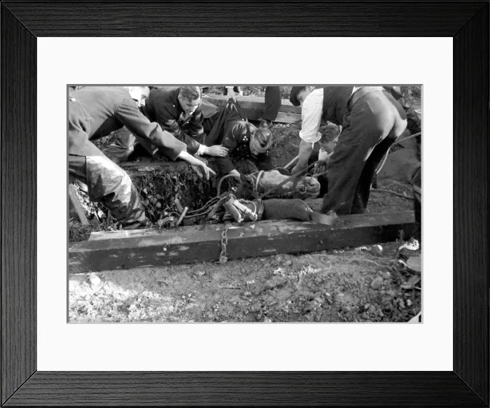 Framed Print : NFS (London Region) Southall horse rescue, WW2 Framed Print : NFS (London Region) Southall horse rescue, WW2