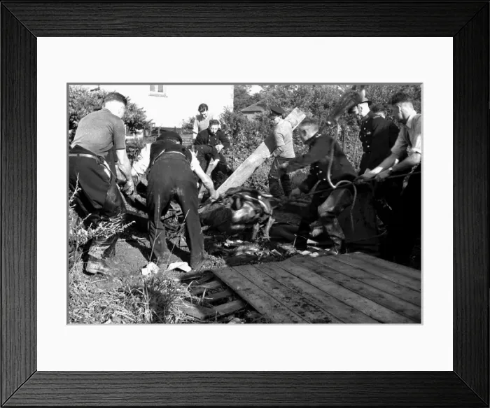 Framed Print : NFS (London Region) Southall horse rescue, WW2
