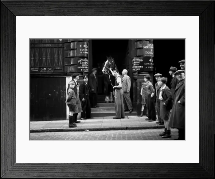 Framed Print : Horse rescued from basement by NFS breakdown lorry Framed Print : Horse rescued from basement by NFS breakdown lorry