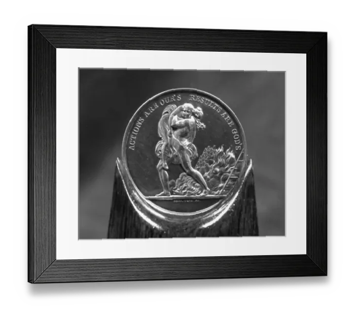 Framed Print : Royal Society for the Protection of Life from Fire medal Framed Print : Royal Society for the Protection of Life from Fire medal
