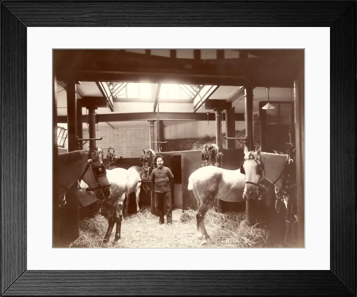 Framed Print : LCC-MFB Redcross Street fire station stables Framed Print : LCC-MFB Redcross Street fire station stables