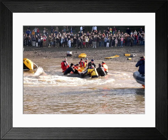 Framed Print : Scene of whale rescue attempt, River Thames Framed Print : Scene of whale rescue attempt, River Thames