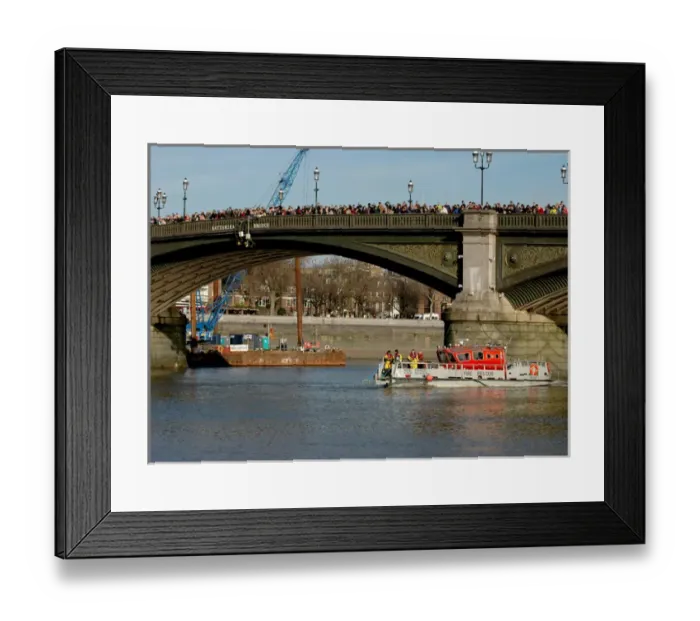 Framed Print : Scene of whale rescue attempt, River Thames Framed Print : Scene of whale rescue attempt, River Thames