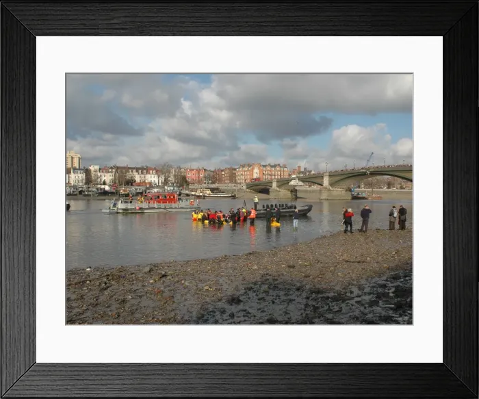 Framed Print : Scene of whale rescue attempt, River Thames Framed Print : Scene of whale rescue attempt, River Thames