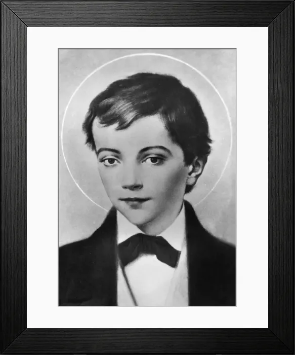 Framed Print : Domenico Savio Framed Print : Domenico Savio