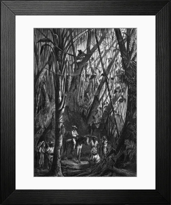 Framed Print : Cuban Rebels Framed Print : Cuban Rebels