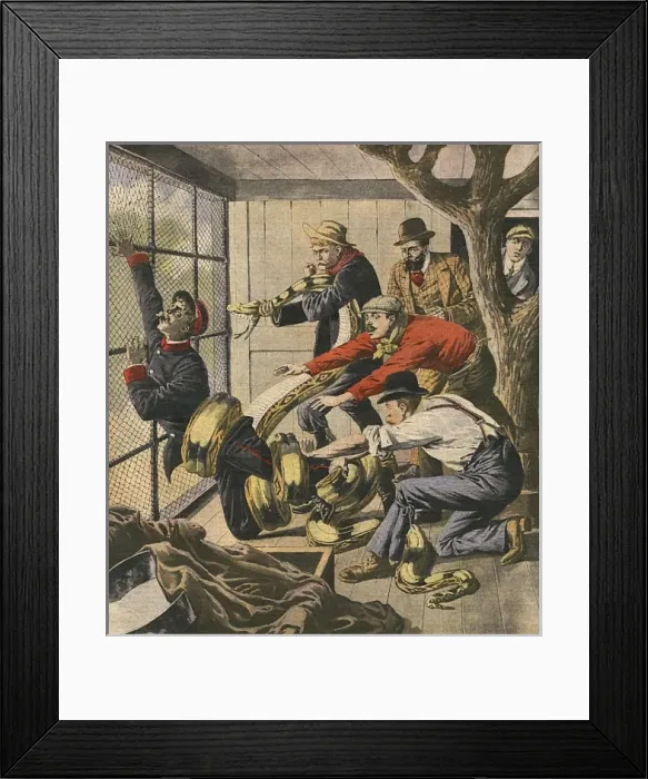 Framed Print : Keeper and Boa Framed Print : Keeper and Boa