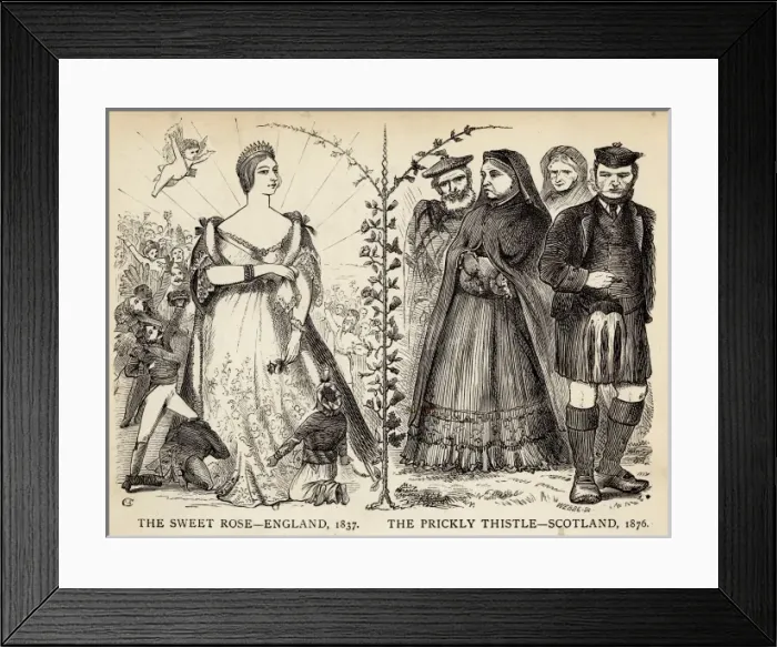 Framed Print : Queen Victoria Framed Print : Queen Victoria