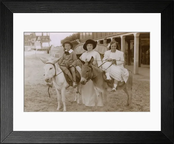 Framed Print : Donkey Ride / France Framed Print : Donkey Ride / France