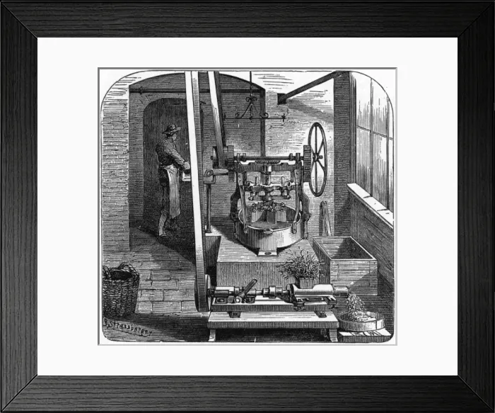 Framed Print : Homeopathy - Press Framed Print : Homeopathy - Press