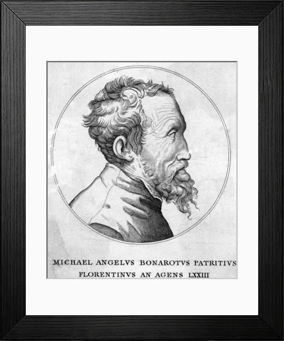Framed Print : Michelangelo - 2 Framed Print : Michelangelo - 2