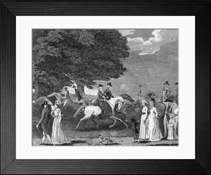 Framed Print : London / Hyde Park Framed Print : London / Hyde Park